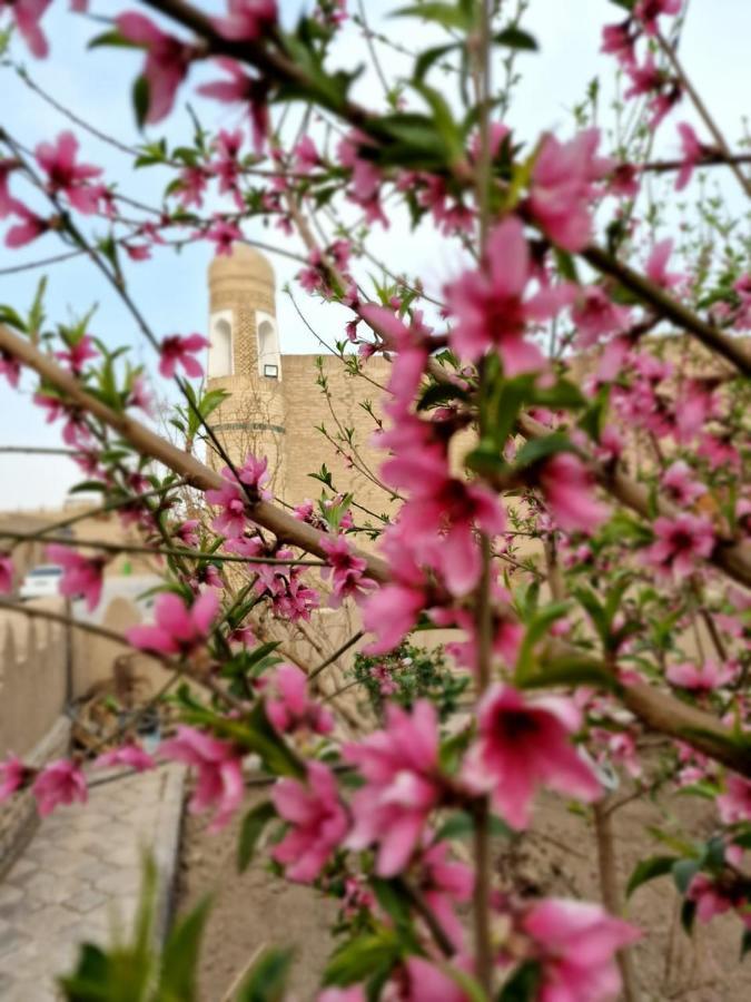 Guest House Khiva Boyjon Ota Eksteriør bilde